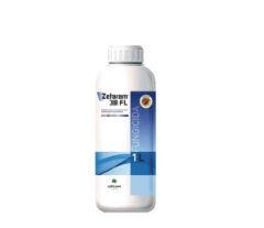 ZETARAM 3B FL LT 1 - SIPCAM