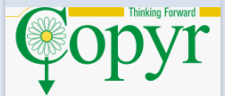 FLYSPRAY ONE-SHOT ML 150 - COPYR