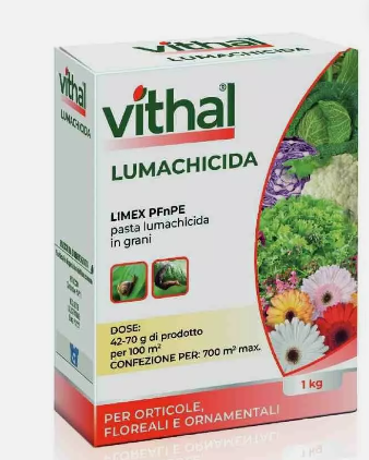 PASTA LUMACHICIDA BIANCA KG 1 - VITHAL