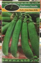 PISELLO A GRANO RUGOSO UTRILLO - GIANFRANCO FUSCELLO PISELLO A GRANO RUGOSO UTRILLO - GIANFRANCO FUSCELLO