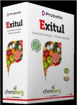 EXITUL KG 1 - PROBELTE