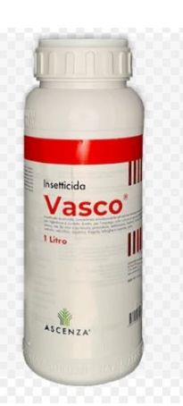 VASCO LT 1 - ASCENZA
