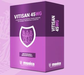 VITISAN WG GR 500 - MANICA