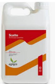 SCATTO LT 5 - AGRIGES