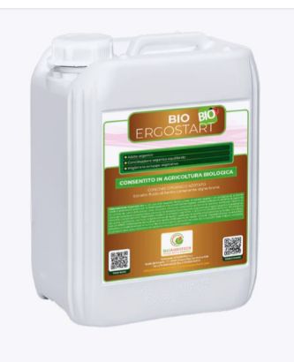 ERGOSTART BIO alga KG 25 - BIOAGROTECH