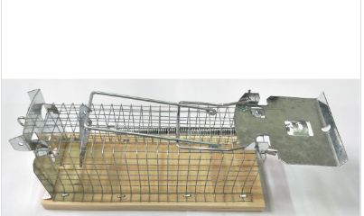 TRAPPOLA PER TOPI MOD.GALLERIA CM. 15,0X6X6,5