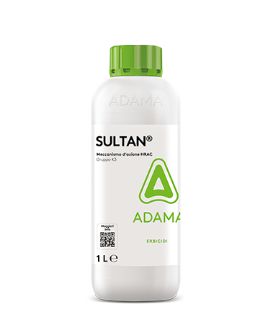 SULTAN LT 1 - ADAMA