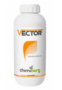 VECTOR LT 1 - CHIMIBERG
