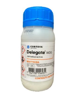 DELEGATE WDG G 100 - CORTEVA