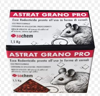 TOPI : PASTE E GRANI