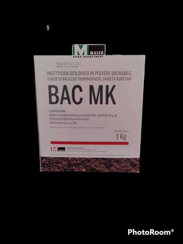 BAC MK - MASSO' KG 1