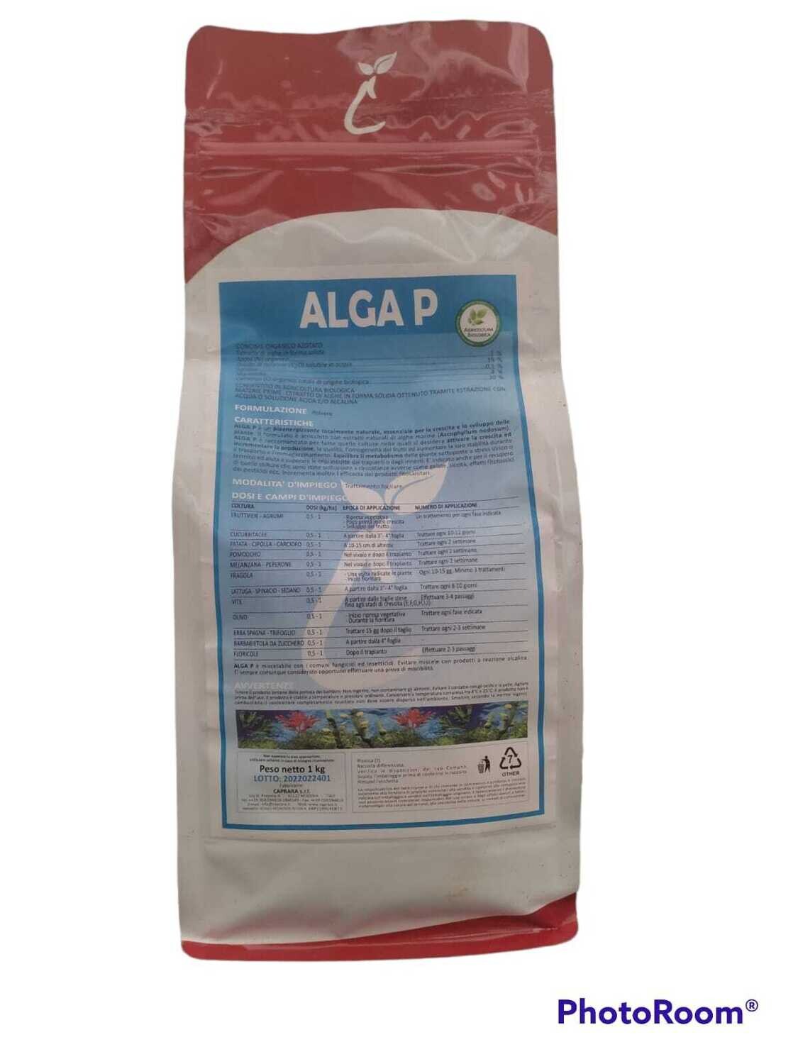 ALGA P - CAPRARA SRL KG 1