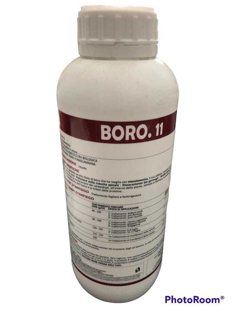 BORO.11 - CAPRARA KG 1