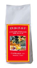 EN 30-15-10 P KG 10 - CAPRARA