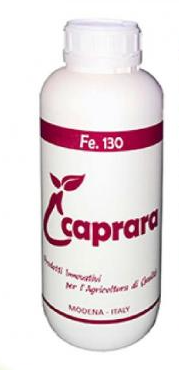 FE.130 KG 1 - CAPRARA