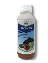 SIVANTO PRIME LT 1 - BAYER