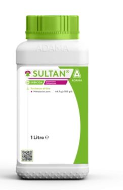 SULTAN LT 1 - ADAMA