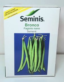 BRONCO FAGIOLO NANO - SEMINIS