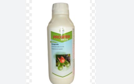 PROSPER 300 CS LT 1 - BAYER