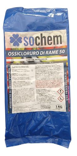 CLORAME 50 OSSICLORULO KG 1 - SOCHEM