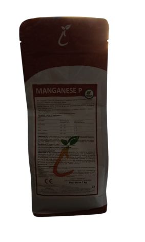 MANGANESE P KG 1 - CAPRARA
