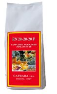 EN 20-20-20 KG P KG 2,5 - CAPRARA