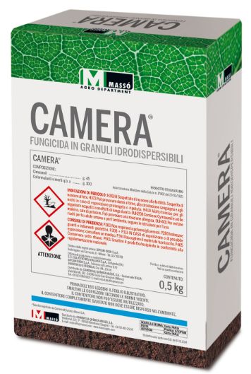 CAMERA 500 G - MASSO'