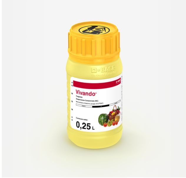 VIVANDO 0,250 L - BASF