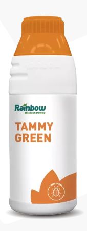 TAMMY GREEN LT 1 - RAINBOW