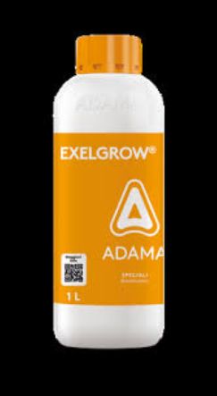 EXELGROW LT 1 - ADAMA EXELGROW LT 1 - ADAMA