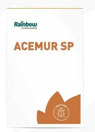 ACEMUR SP G 500 - RAINBOW