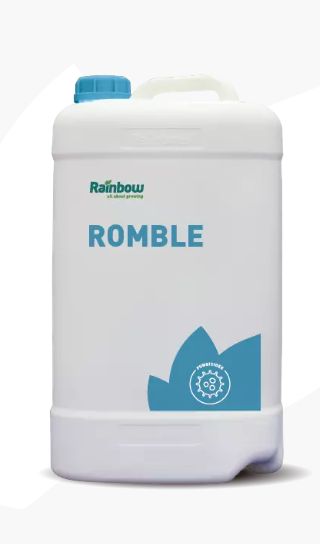 ROMBLE LT 1 - RAINBOW