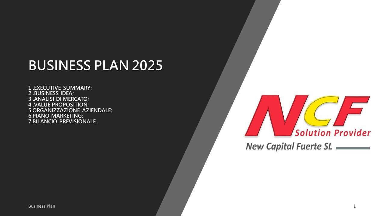 IL BUSINESS PLAN 2025
