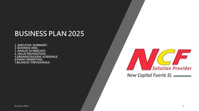 IL BUSINESS PLAN 2025