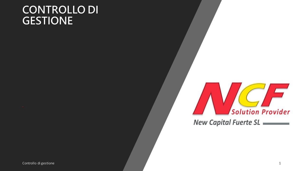 CONTROLLO DI GESTIONE 2025