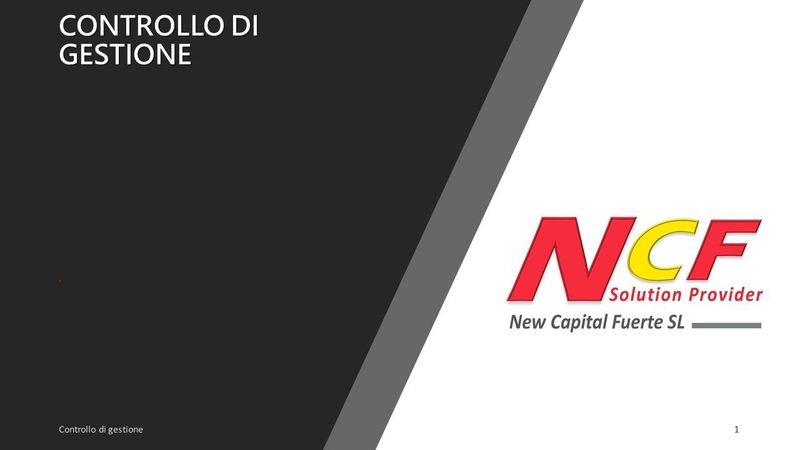 CONTROLLO DI GESTIONE 2025