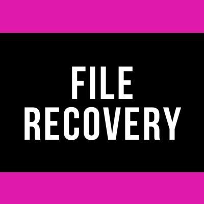File Recovery Service
