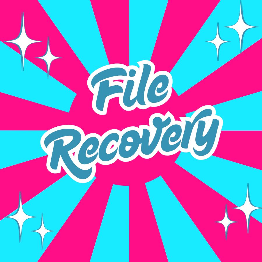 File Recovery Service