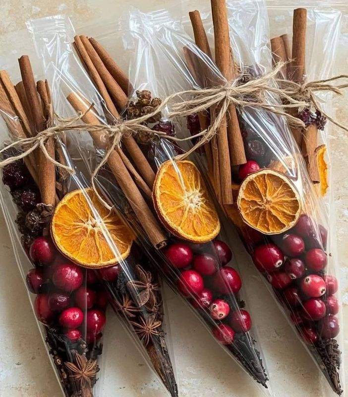 Holiday Simmer Pot Kit