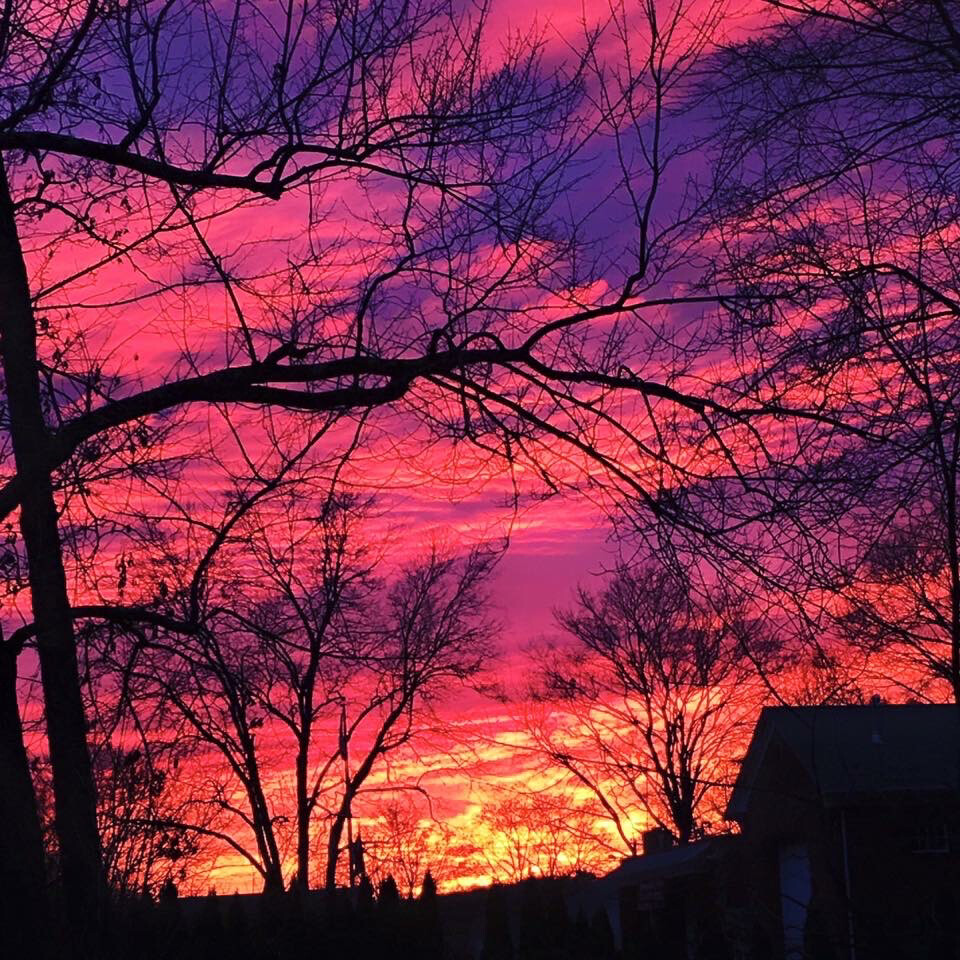 Brilliant Sunrise