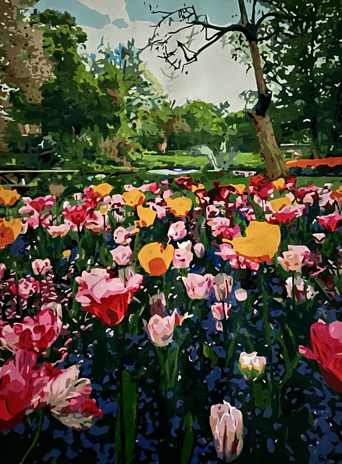 Field of Flowers (LIMITED framed print)