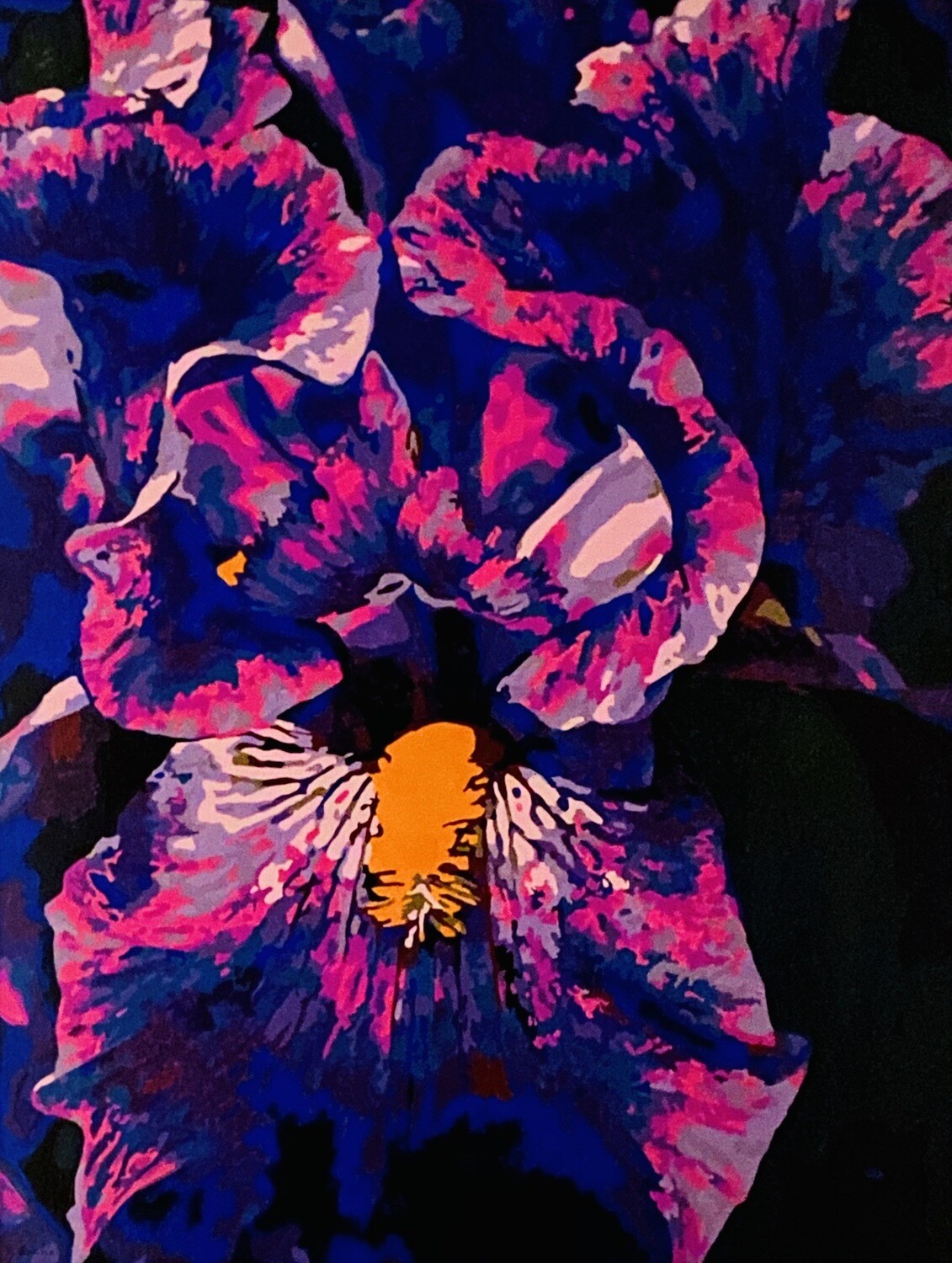 Iris (LIMITED framed print)