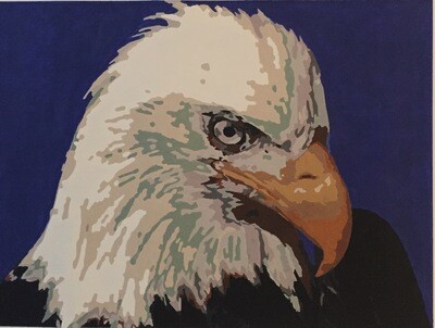 Bald Eagle (framed LIMITED print)