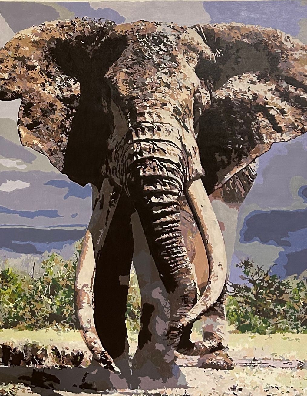 Regal Advance (LIMITED framed print)