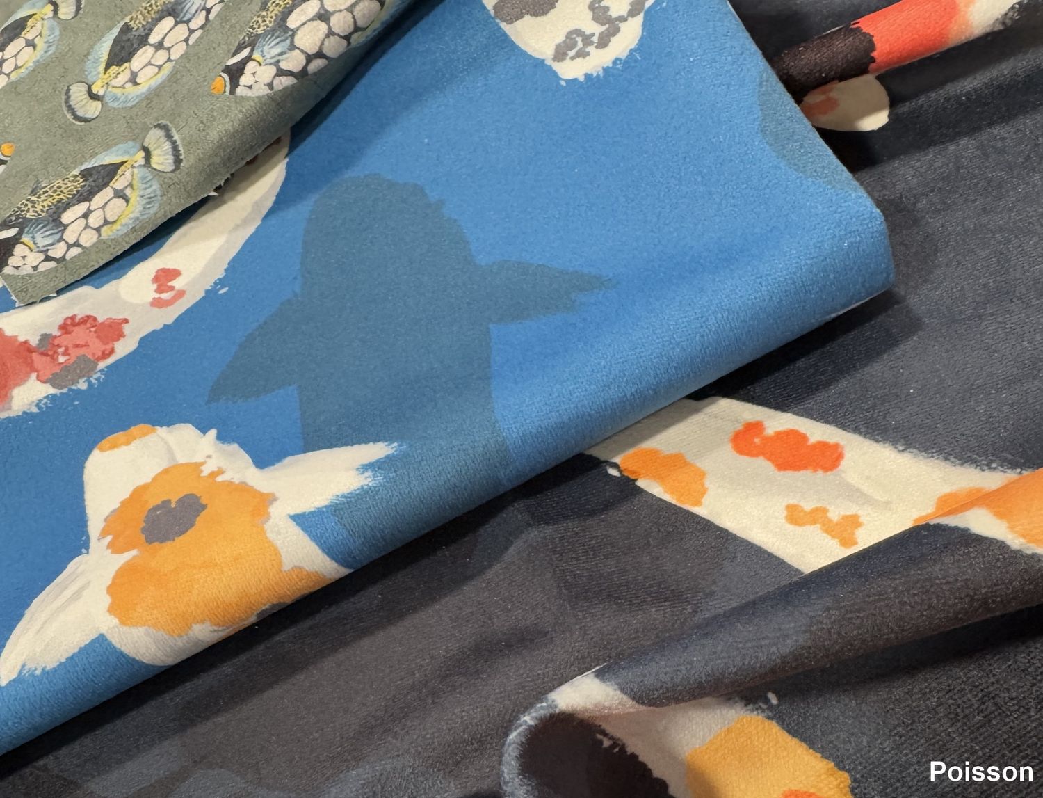 POISSON KOI-POISSON PICASSO