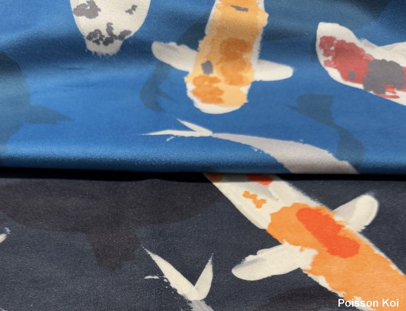 POISSON KOI-POISSON PICASSO