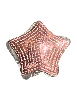 2 pinke Paillettenstern-Nipplepads. Selbstklebend 2 pinke Paillettenstern-Nipplepads. Selbstklebend