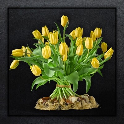 Gele tulpen met bol boeket