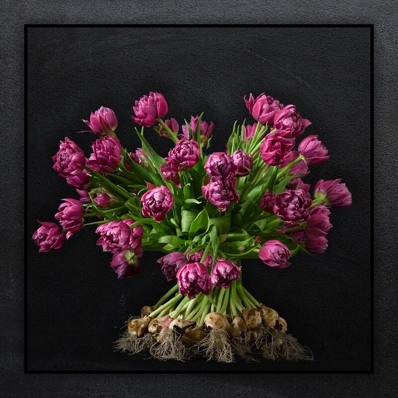 Dubbel Roze tulpen met bol boeket