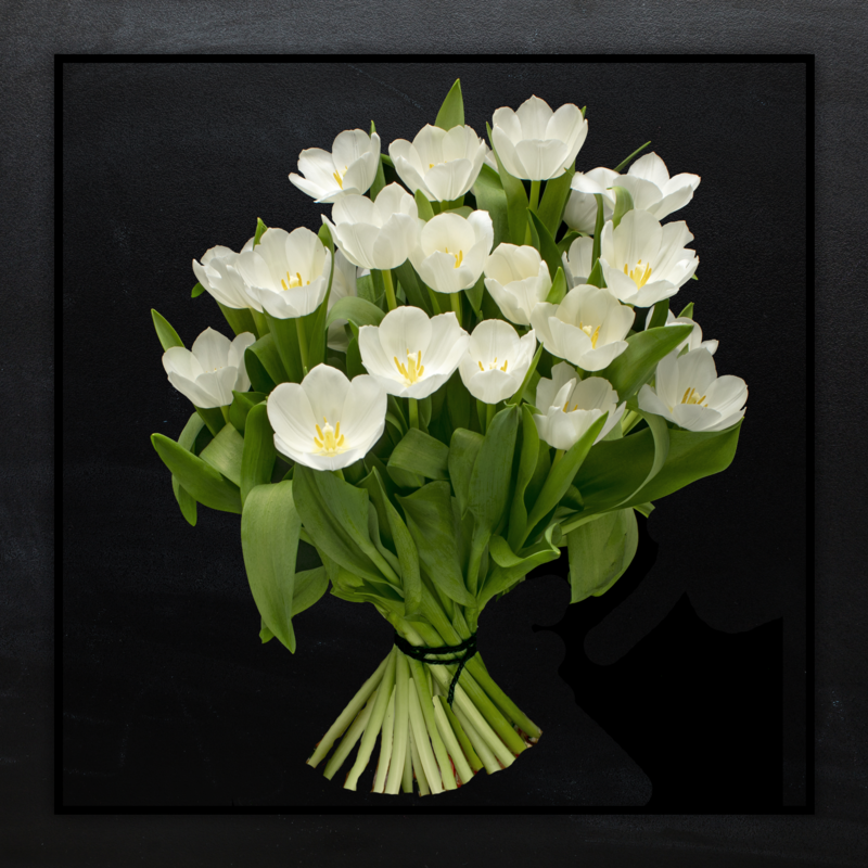 Witte Tulpen Boeket "ROYAL VIRGIN"